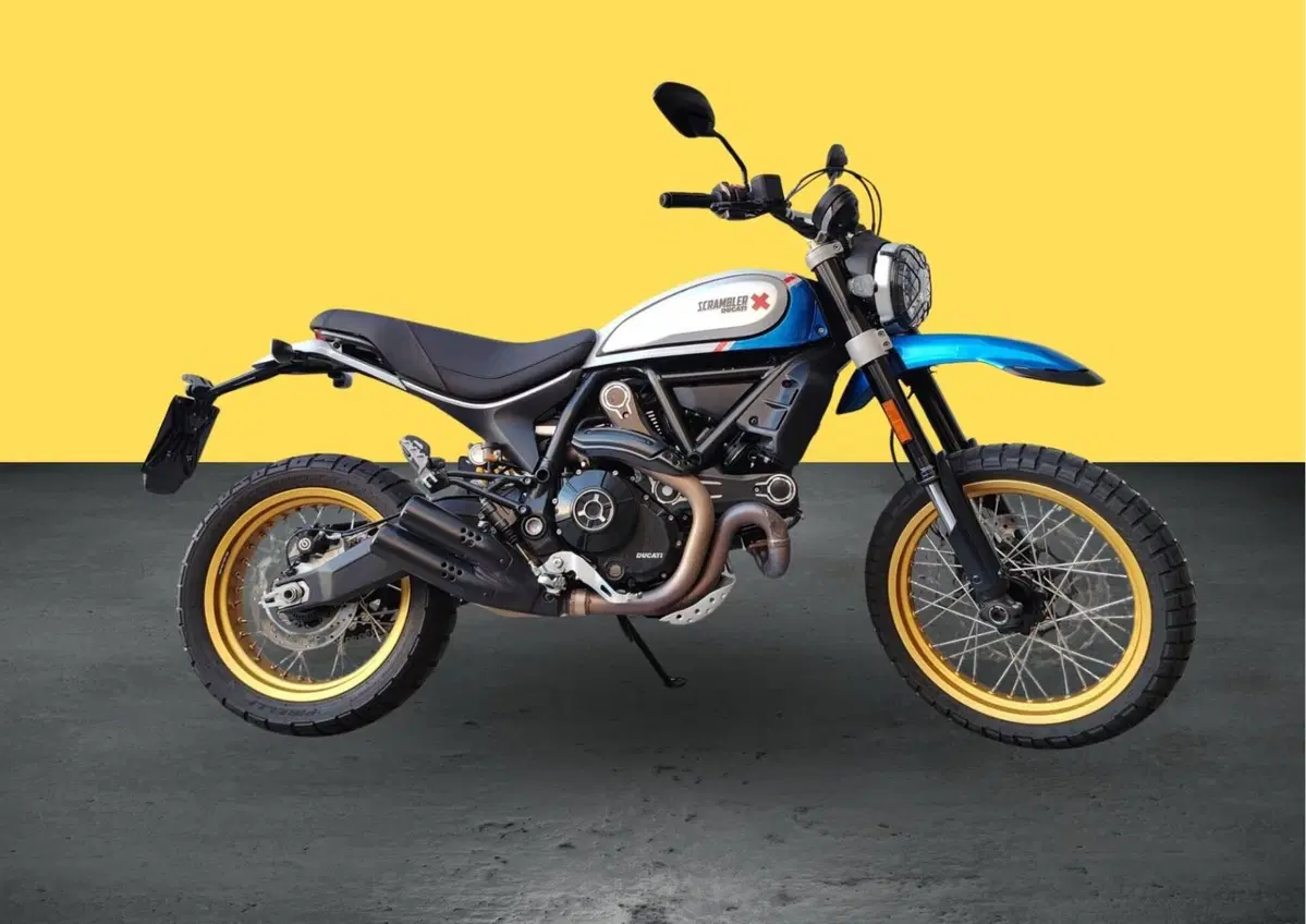 Ducati Scrambler 800 Desert Sled (2021 - 22) (3)