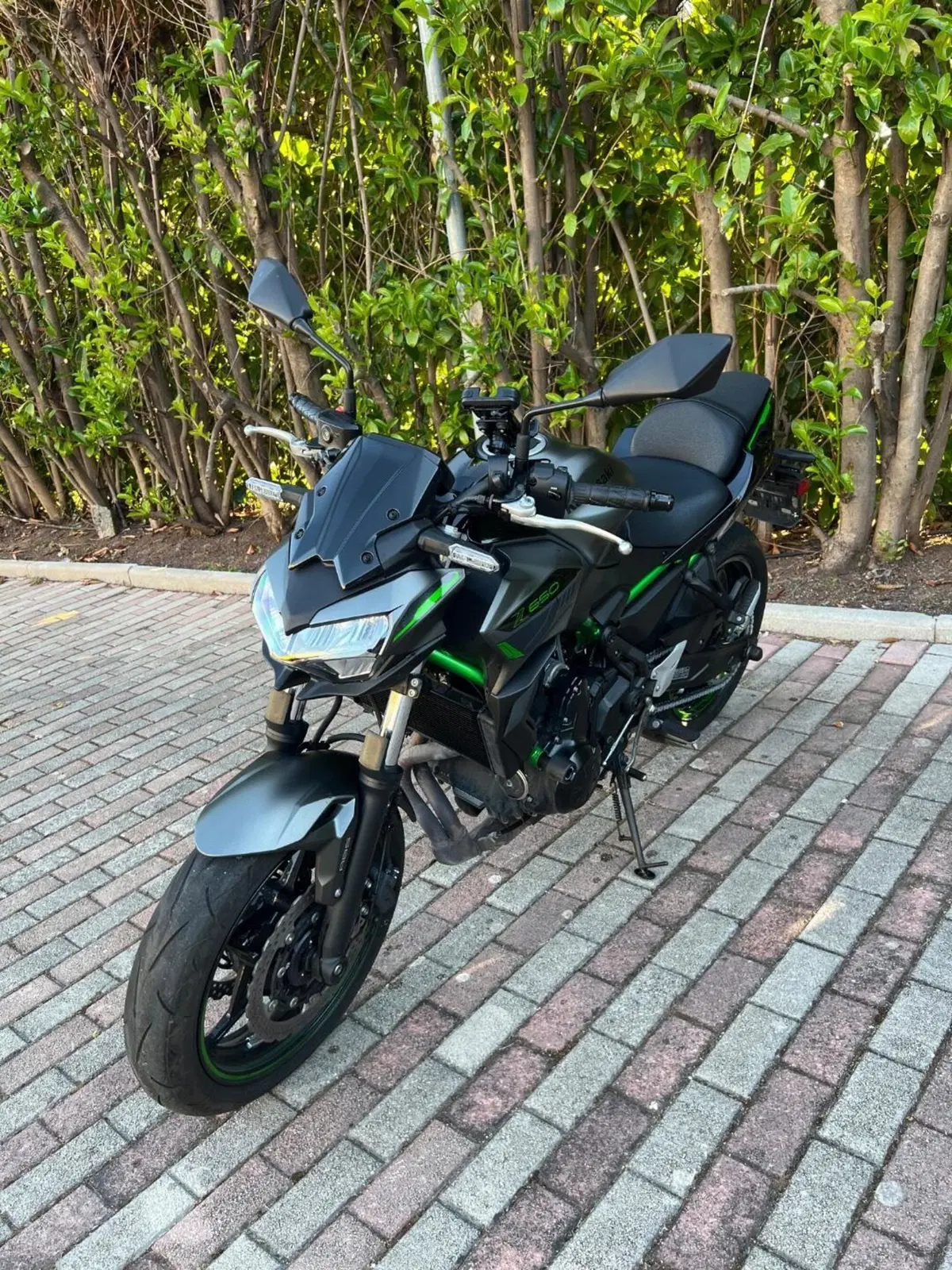 Kawasaki Z 650 (2021 - 24) (10)