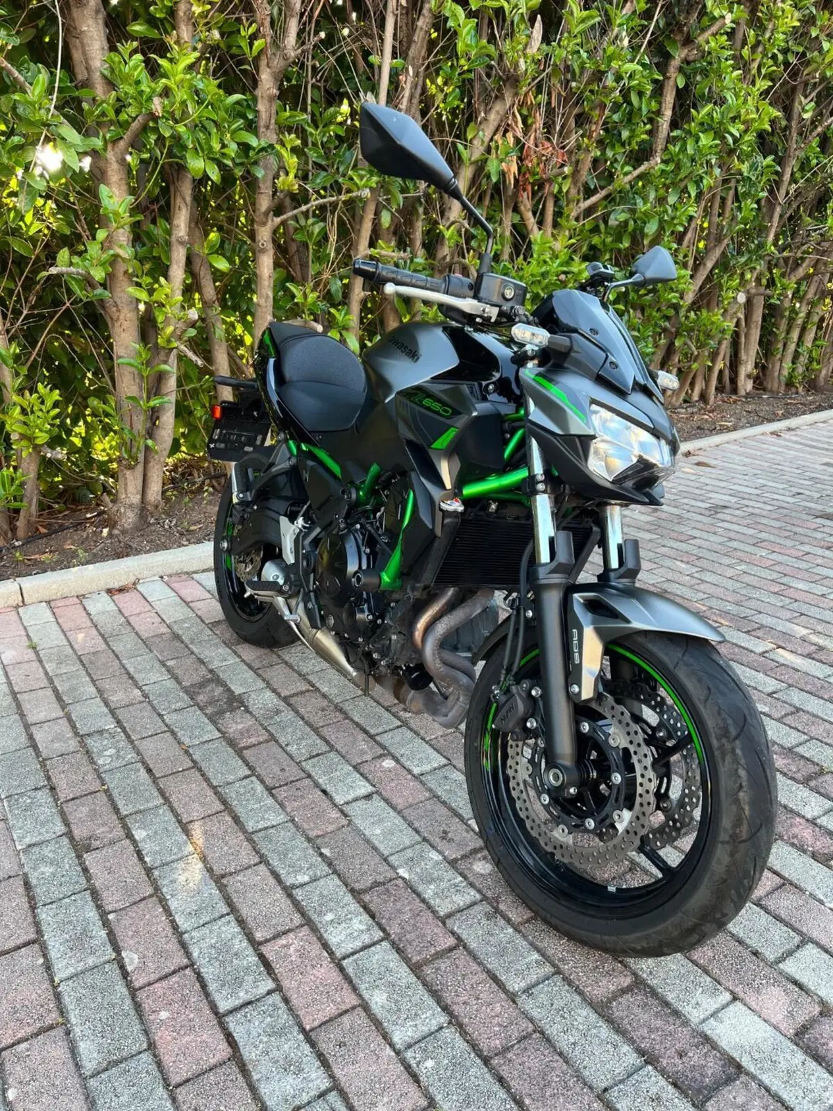 Kawasaki Z 650 (2021 - 24) (8)