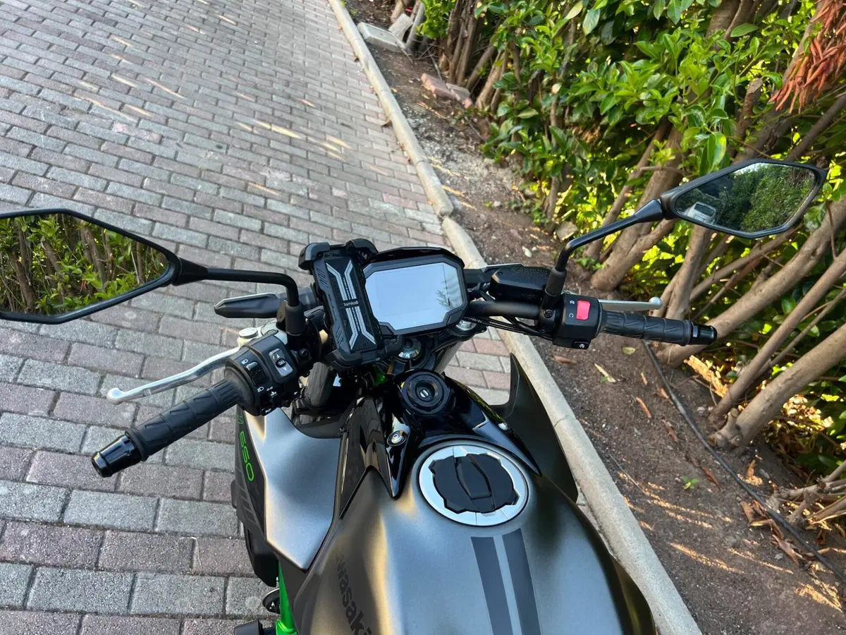 Kawasaki Z 650 (2021 - 24) (9)