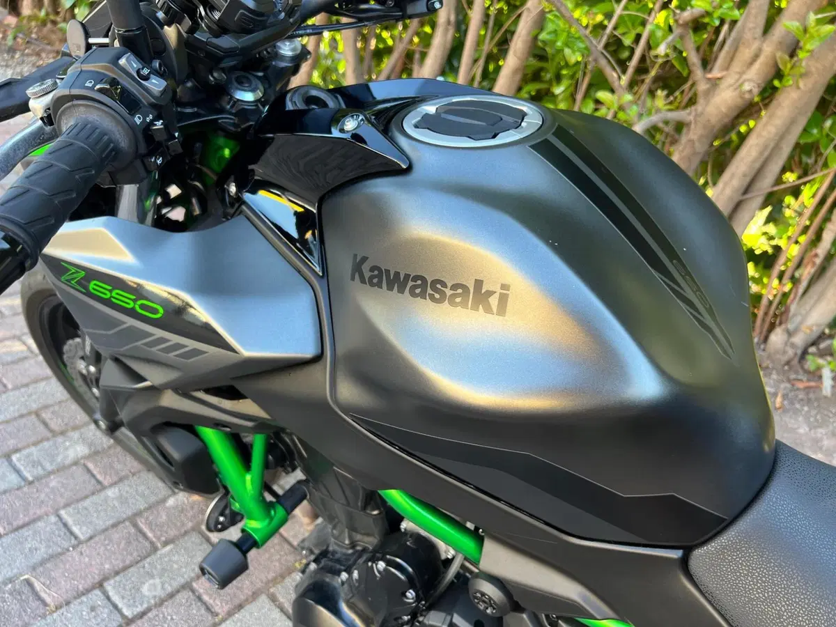 Kawasaki Z 650 (2021 - 24) (3)
