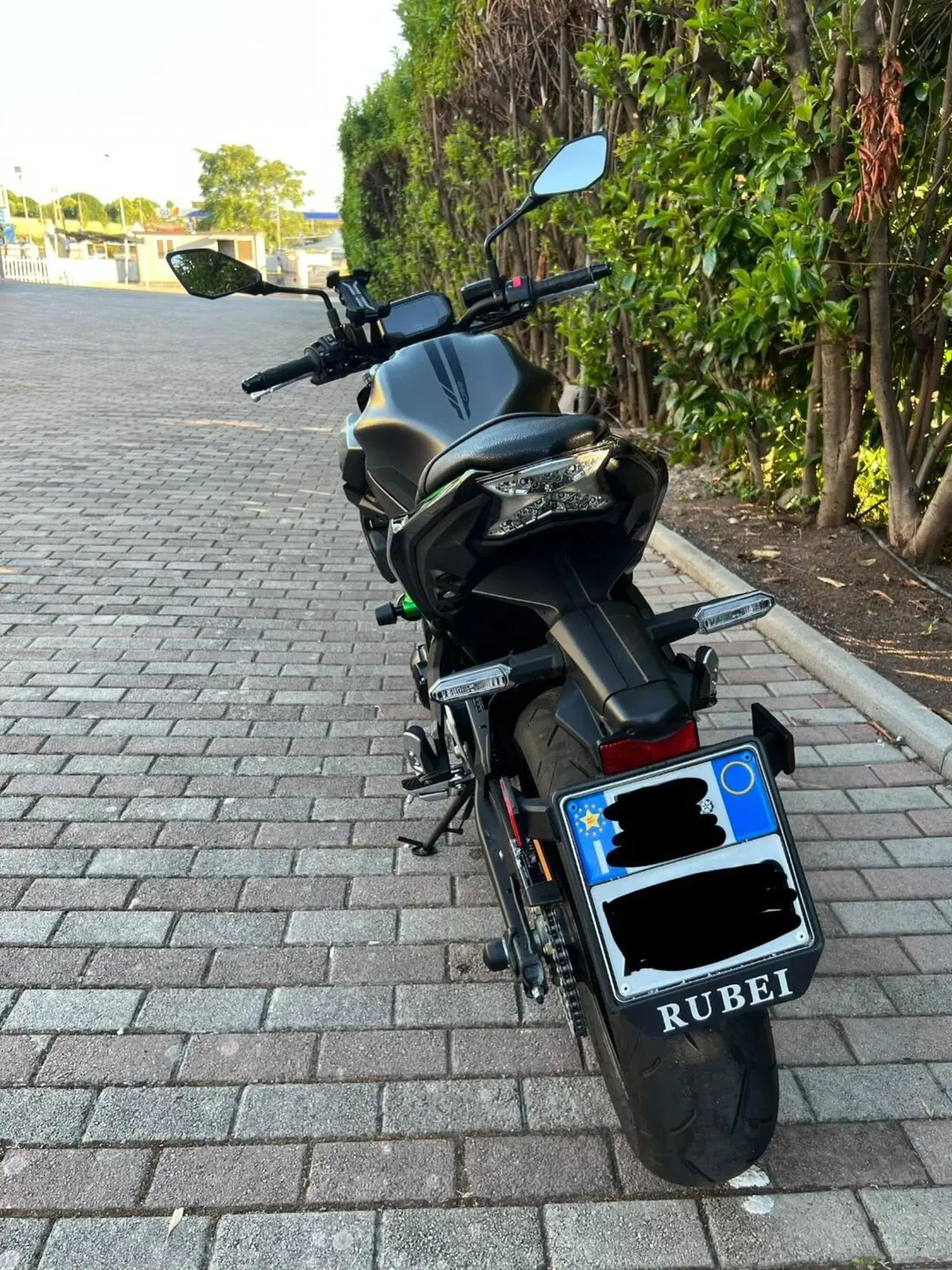 Kawasaki Z 650 (2021 - 24) (11)