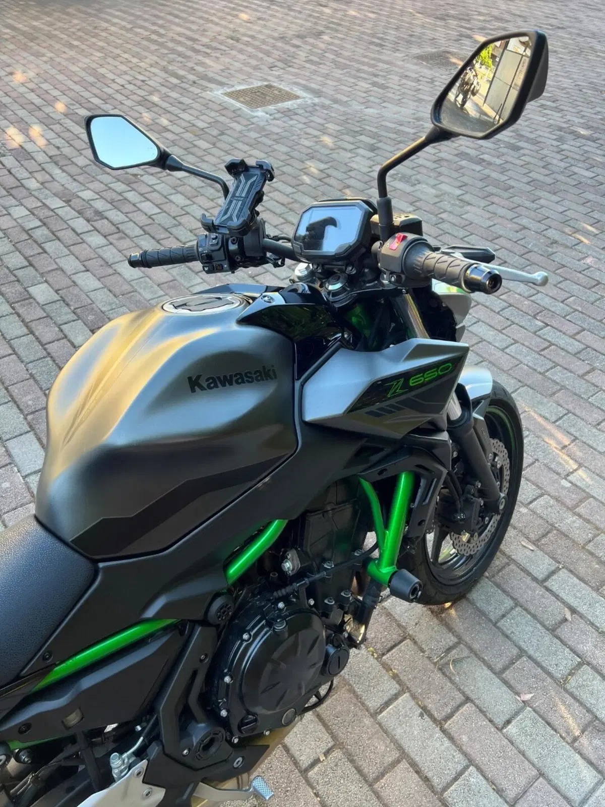 Kawasaki Z 650 (2021 - 24) (7)