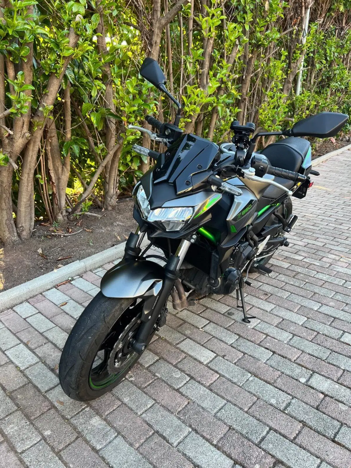 Kawasaki Z 650 (2021 - 24) (2)