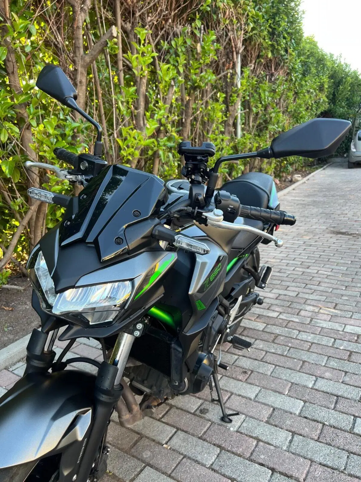 Kawasaki Z 650 (2021 - 24) (12)
