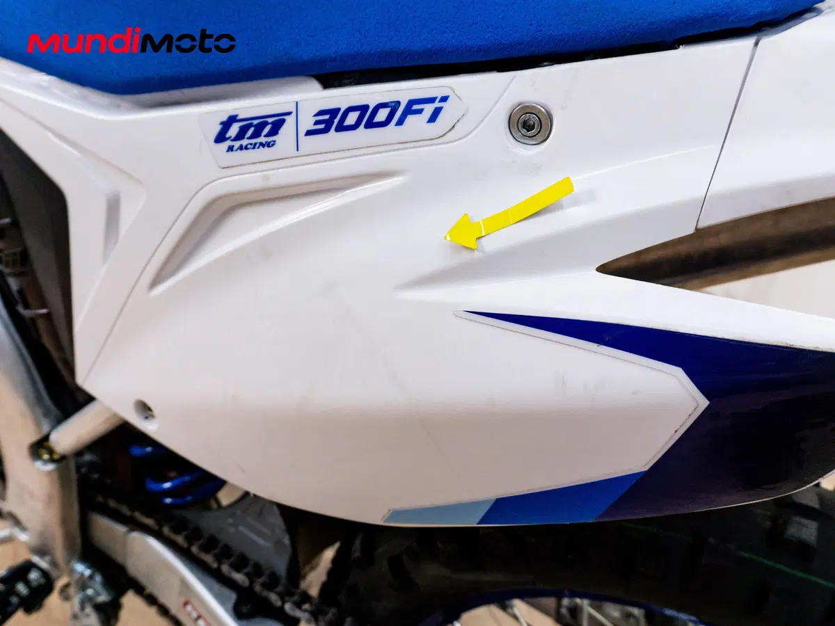 Tm Moto EN 300 Fi Es 2t (2020) (13)