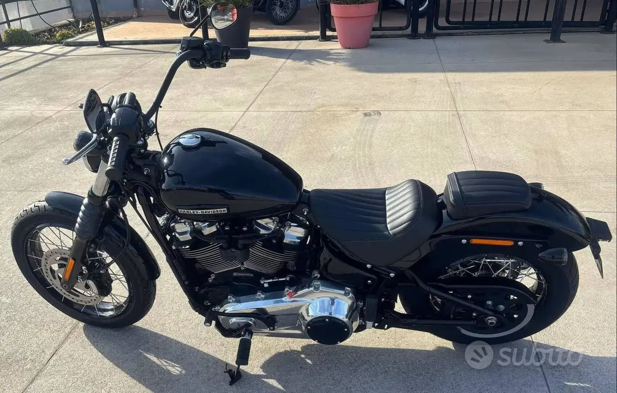 Harley-Davidson Street Bob 117 (2025 - 26)