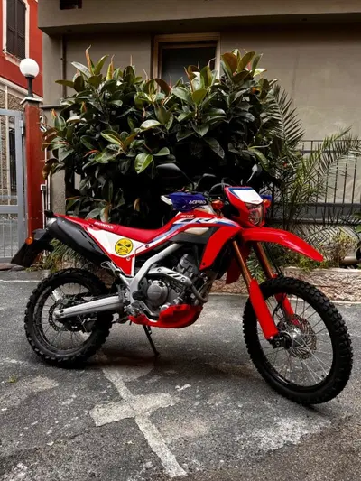 Honda CRF 300L (2021 - 24) usata