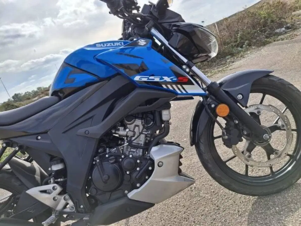 Suzuki GSX-S125 (2022 - 24) (5)