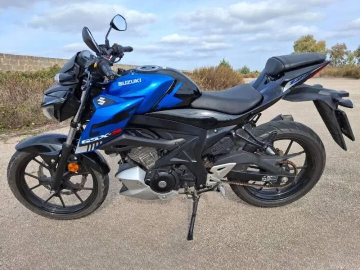 Suzuki GSX-S125 (2022 - 24) (15)