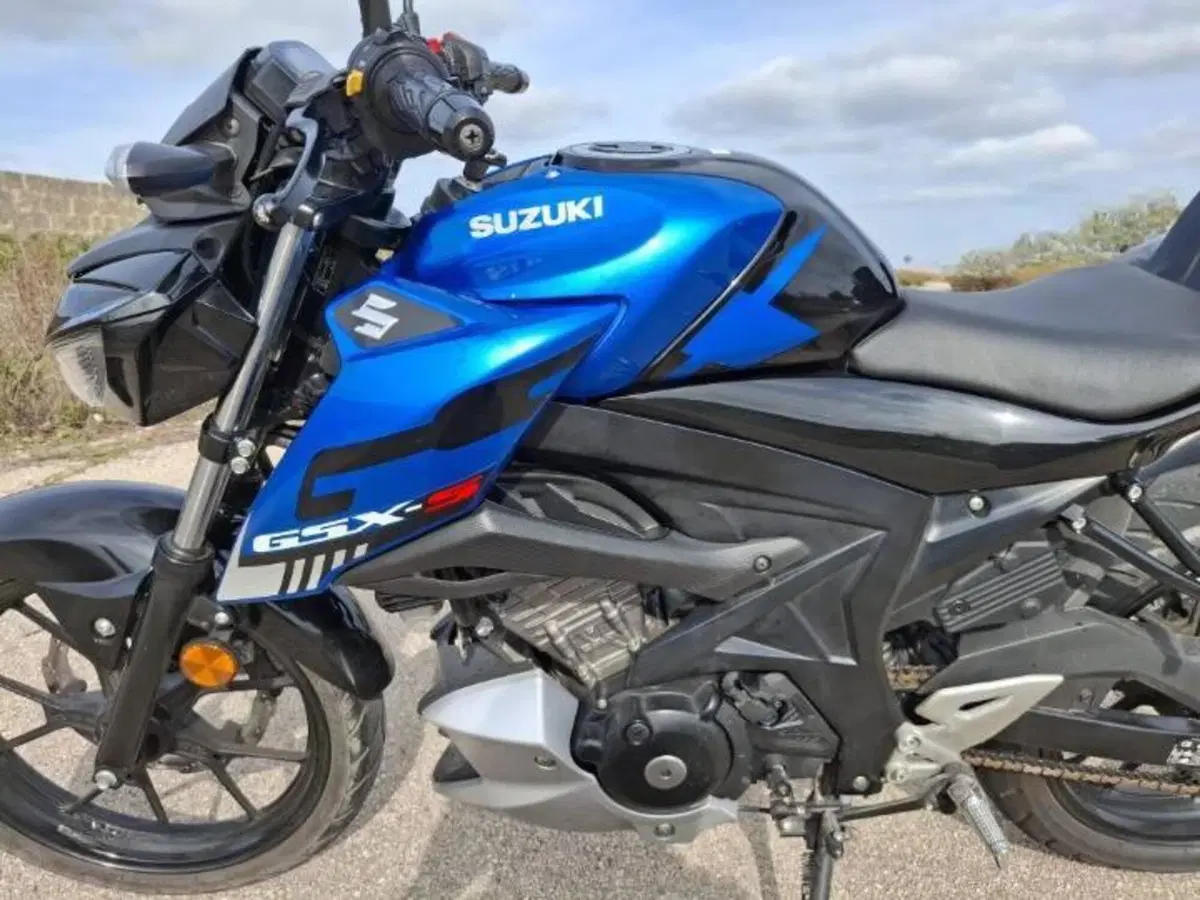 Suzuki GSX-S125 (2022 - 24) (16)