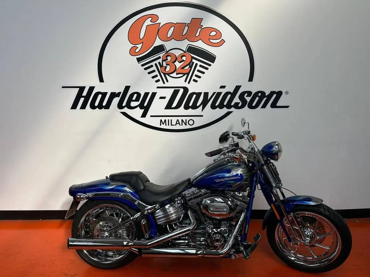 Harley-Davidson 1800 Springer (2009 - 12) - FXSTSSE