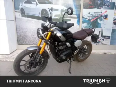 Triumph Scrambler 400 X (2024 - 26) usata