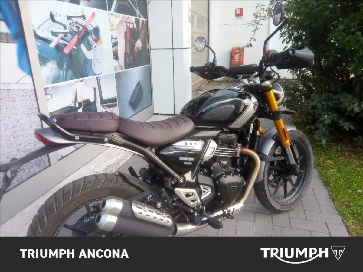 Triumph Scrambler 400 X (2024 - 26) (8)