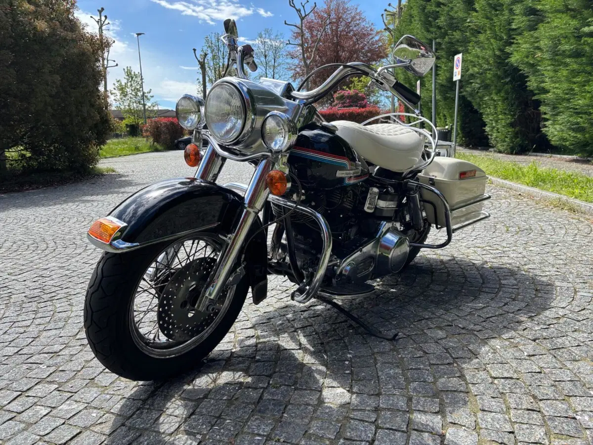 Harley-Davidson Flh 1200 Shovel  (3)