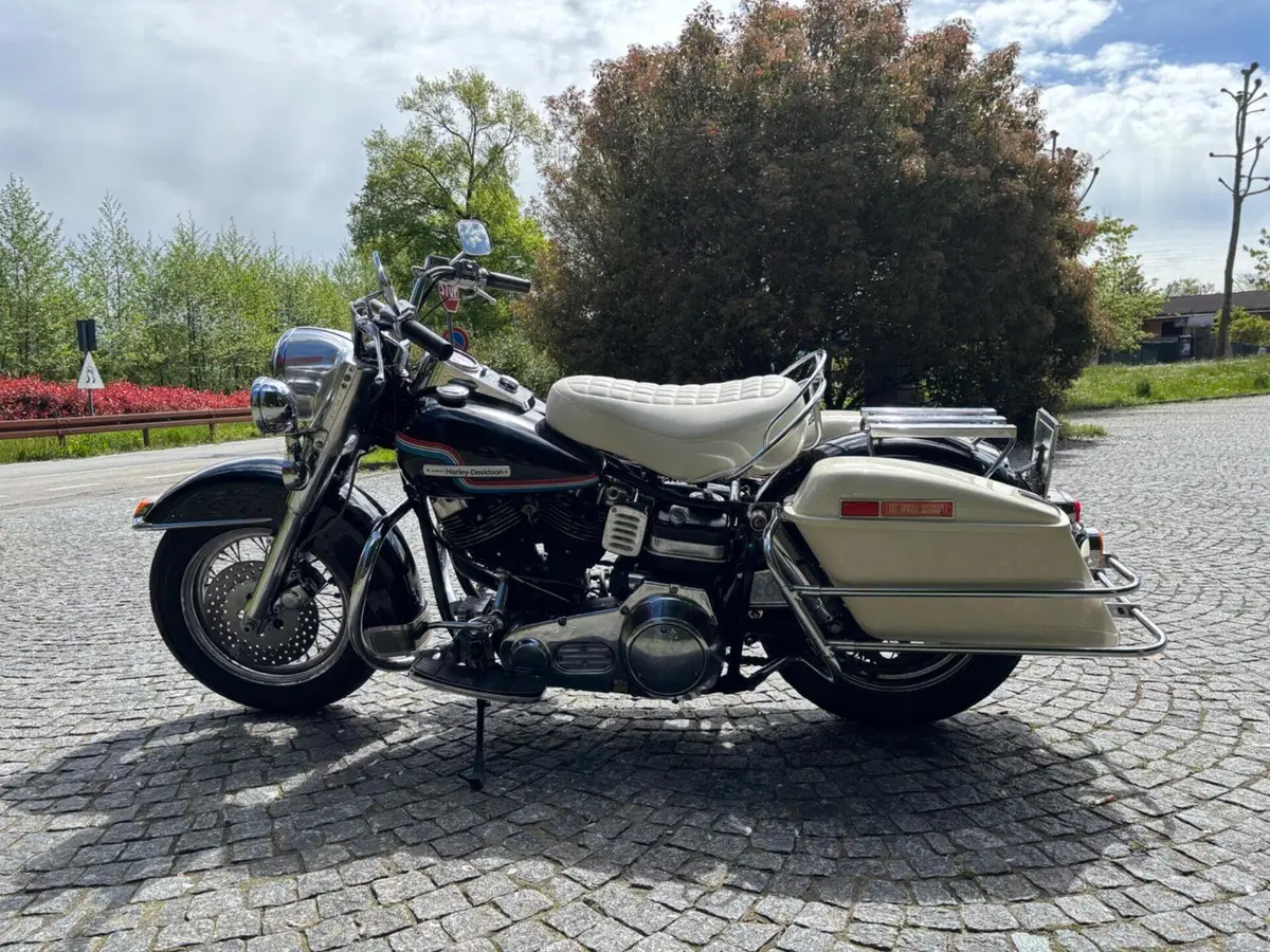 Harley-Davidson Flh 1200 Shovel  (4)