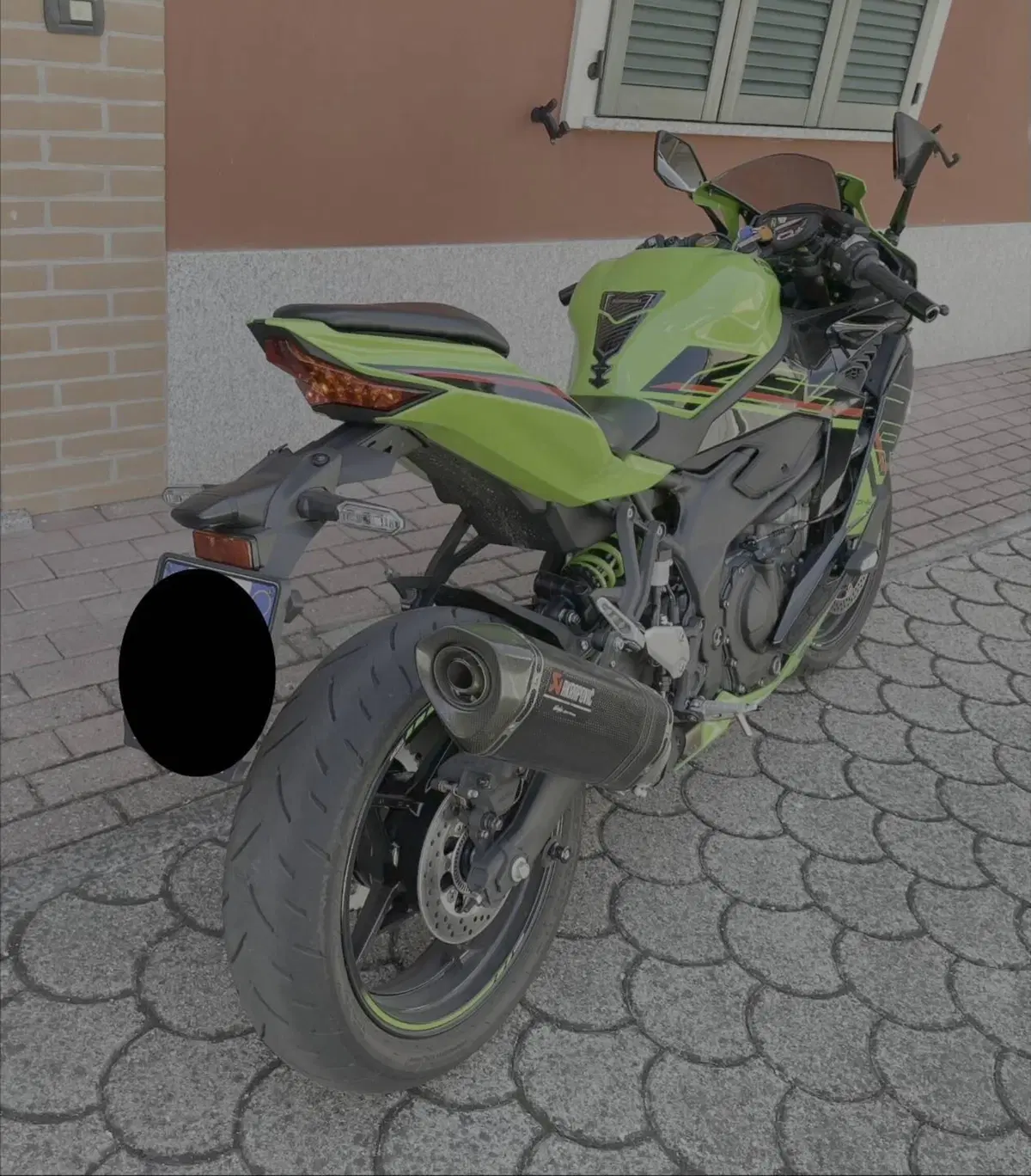 Kawasaki Ninja ZX-4RR (2024 - 26) (2)