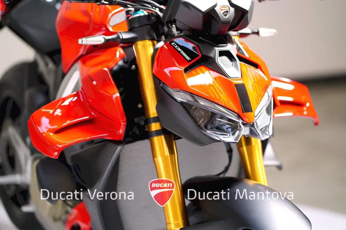 Ducati Streetfighter V4 S (2025 - 26) (9)