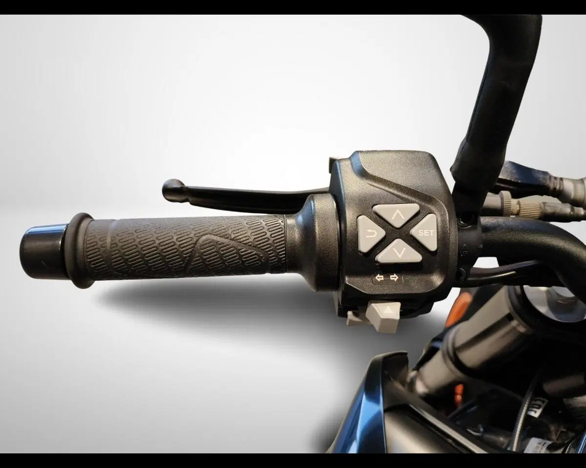KTM 790 Duke (2018 - 20) (10)