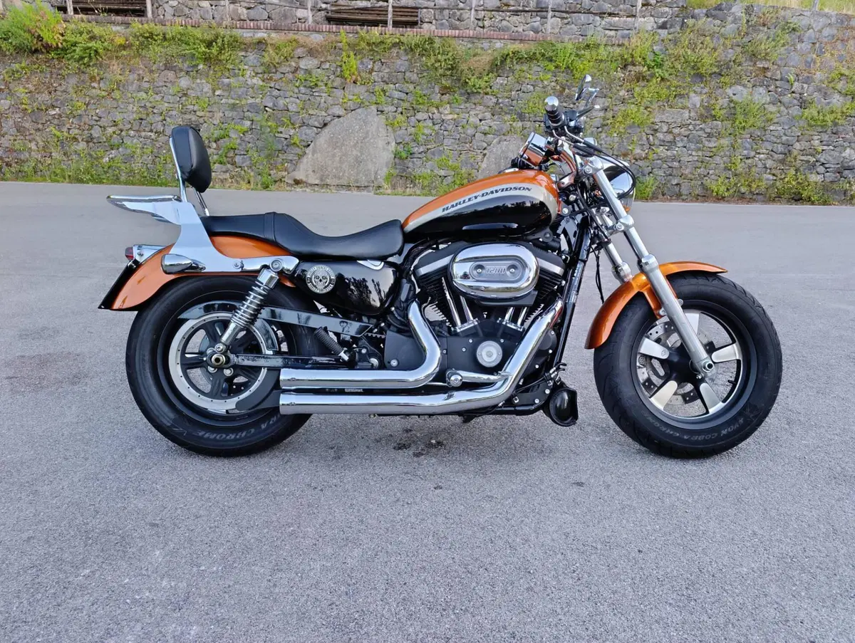 Harley-Davidson 1200 Custom CA (2013 - 17) - XL 1200CA (2)