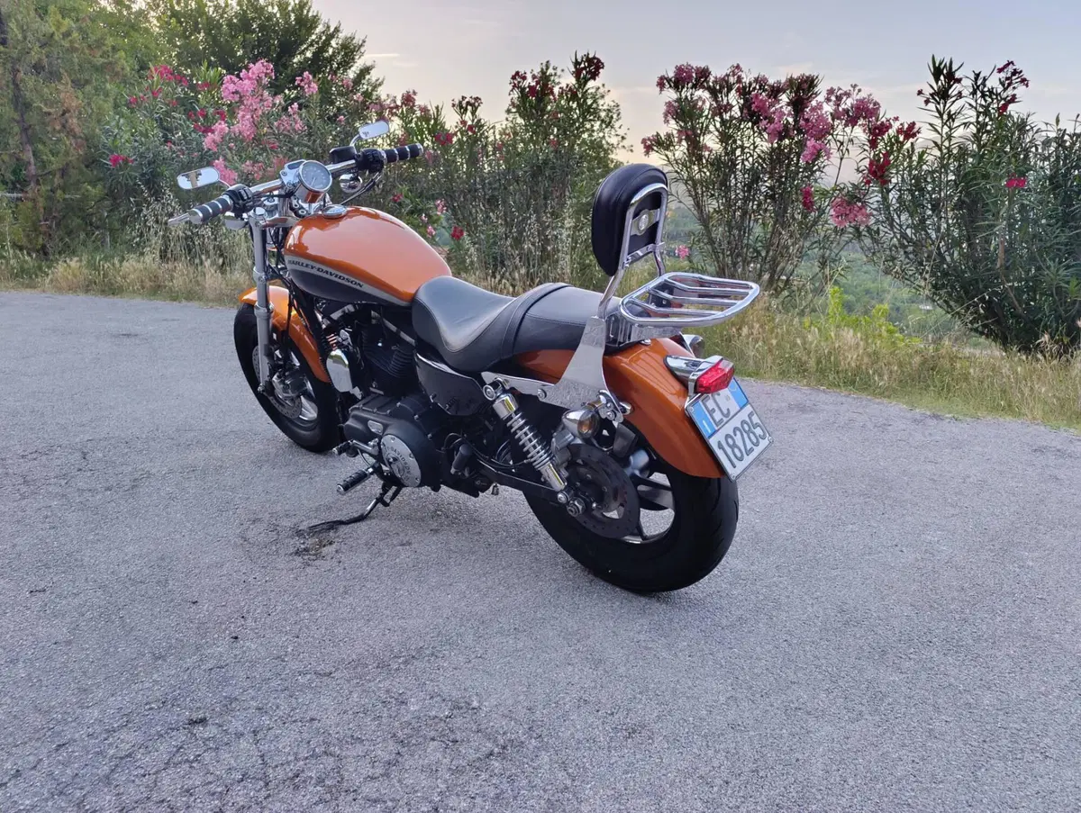 Harley-Davidson 1200 Custom CA (2013 - 17) - XL 1200CA (3)