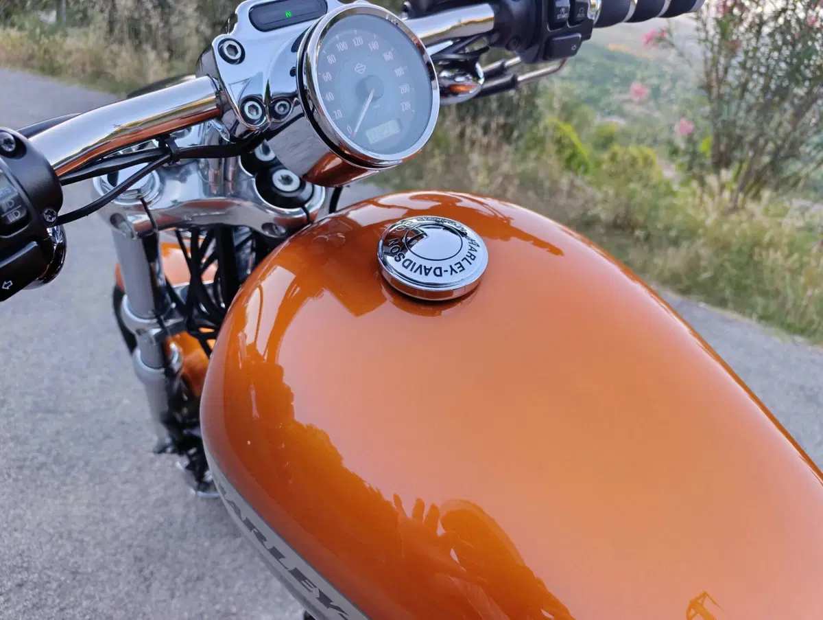 Harley-Davidson 1200 Custom CA (2013 - 17) - XL 1200CA (6)