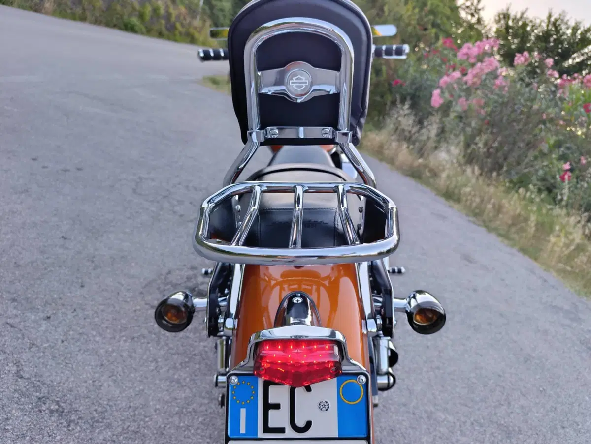 Harley-Davidson 1200 Custom CA (2013 - 17) - XL 1200CA (9)