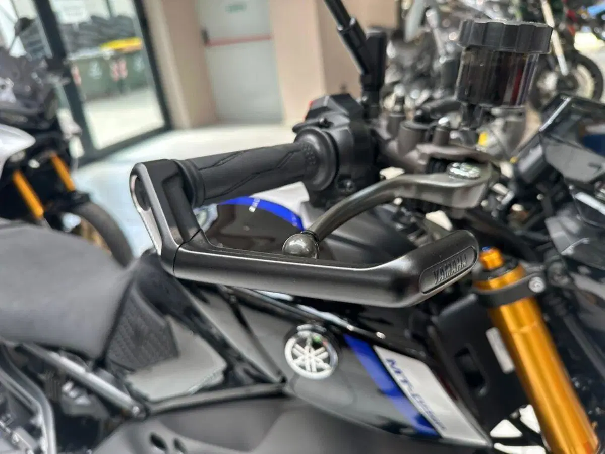 Yamaha MT-09 SP (2021 - 23) (5)