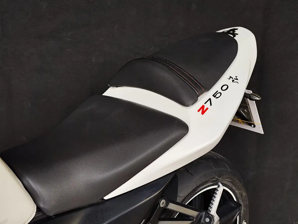 Kawasaki Z 750 (2003 - 06) (12)