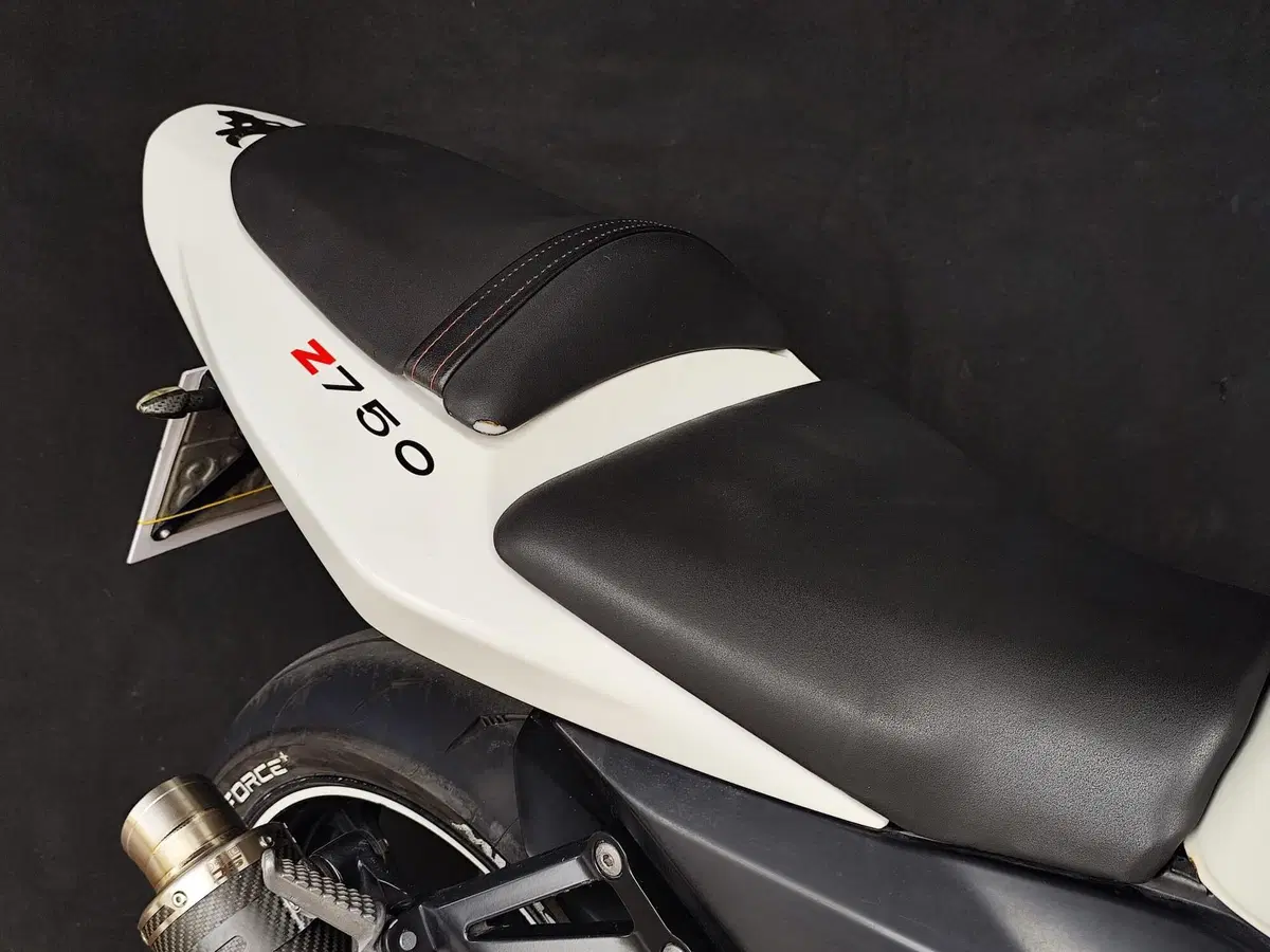 Kawasaki Z 750 (2003 - 06) (13)