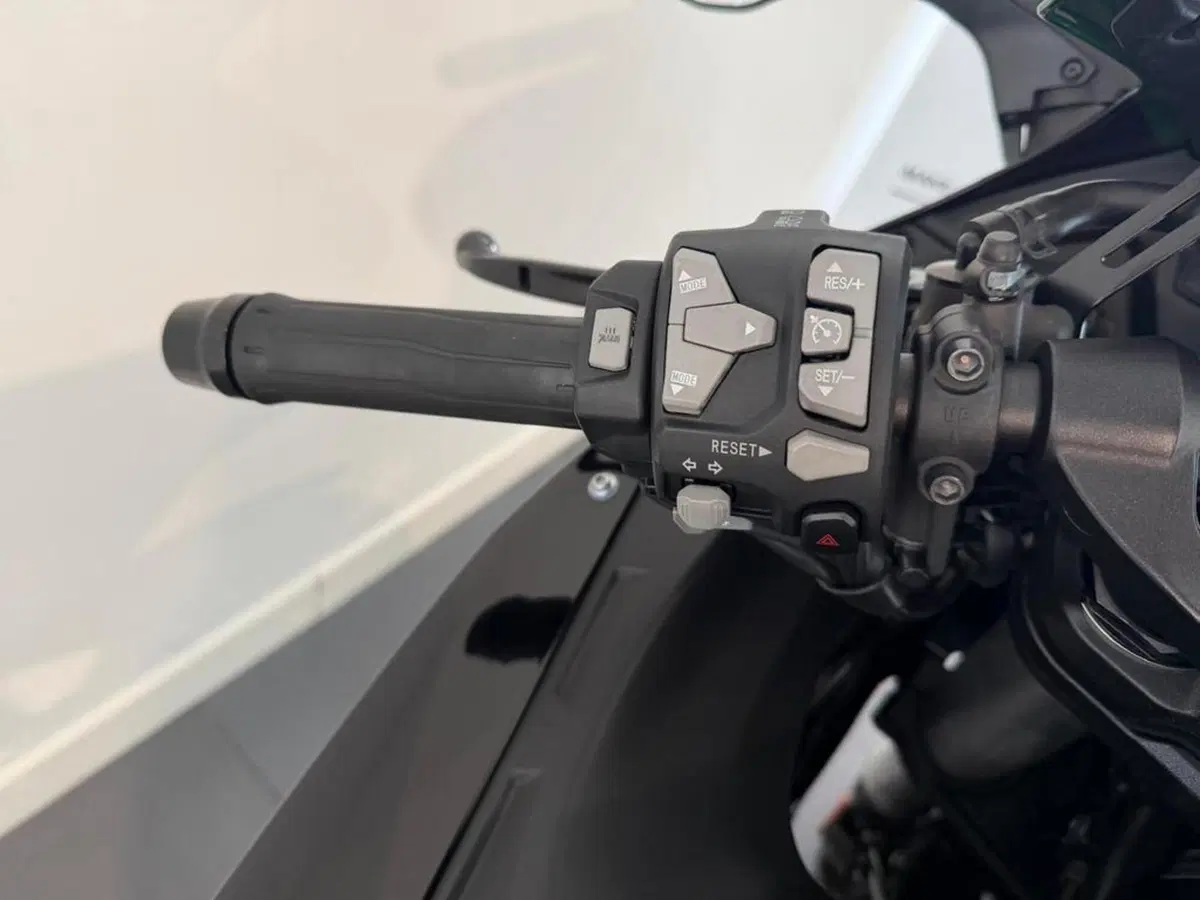 Kawasaki Ninja H2 SX SE (2023 - 26) (4)