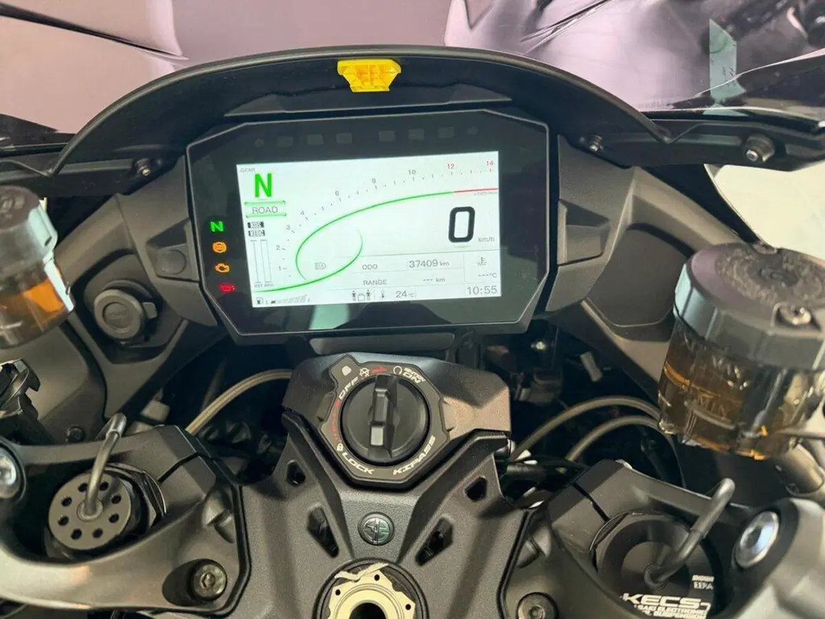 Kawasaki Ninja H2 SX SE (2023 - 26) (8)
