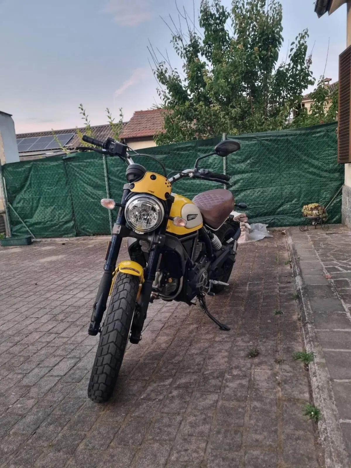 Ducati Scrambler 800 Classic (2015 - 16) (4)