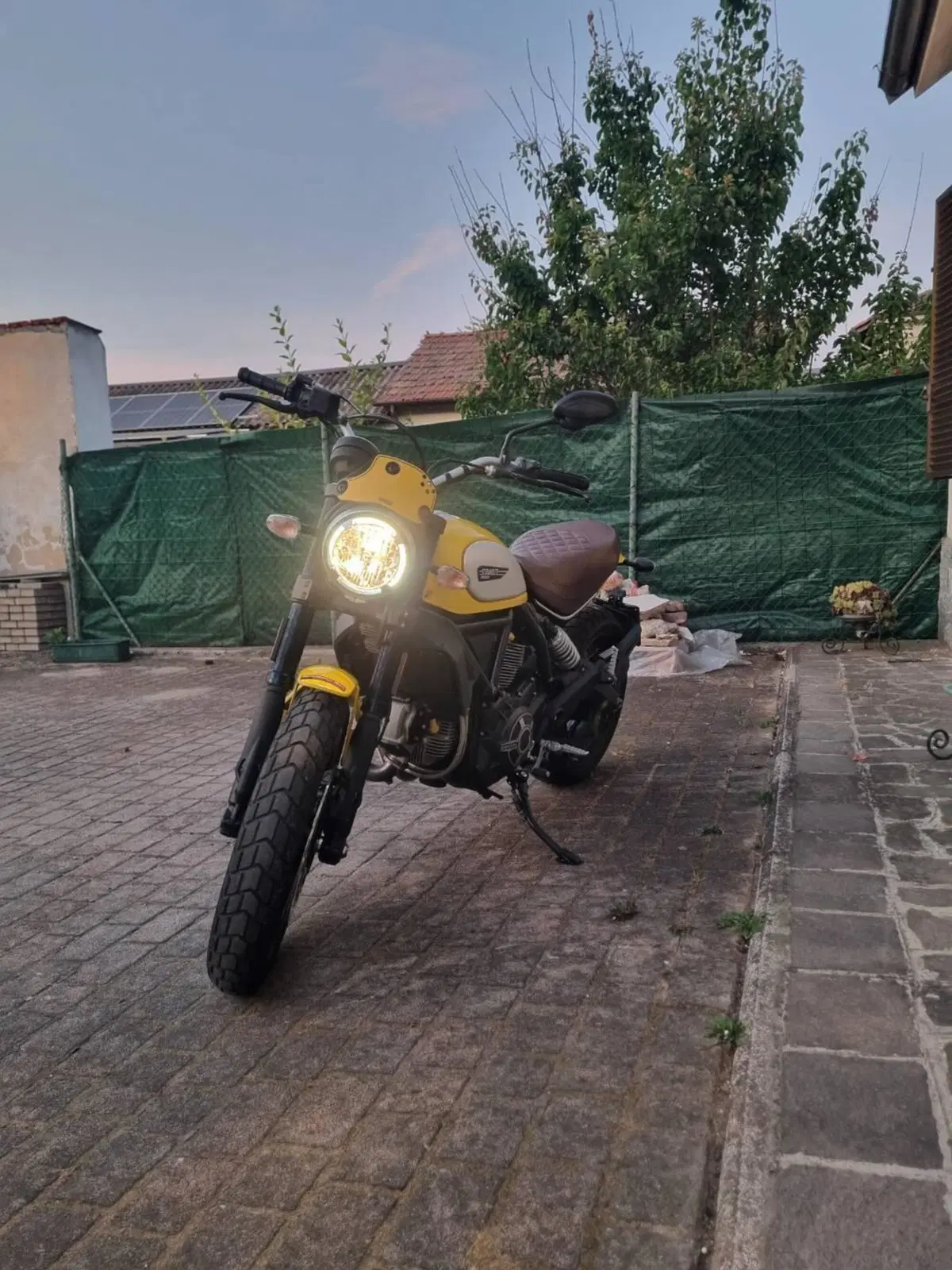 Ducati Scrambler 800 Classic (2015 - 16) (8)