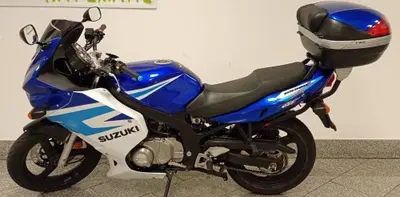 Suzuki GS 500 F (2004 - 06) usata