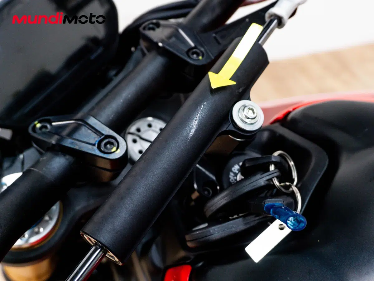 Ducati Monster 937 SP (2023 - 25) (13)