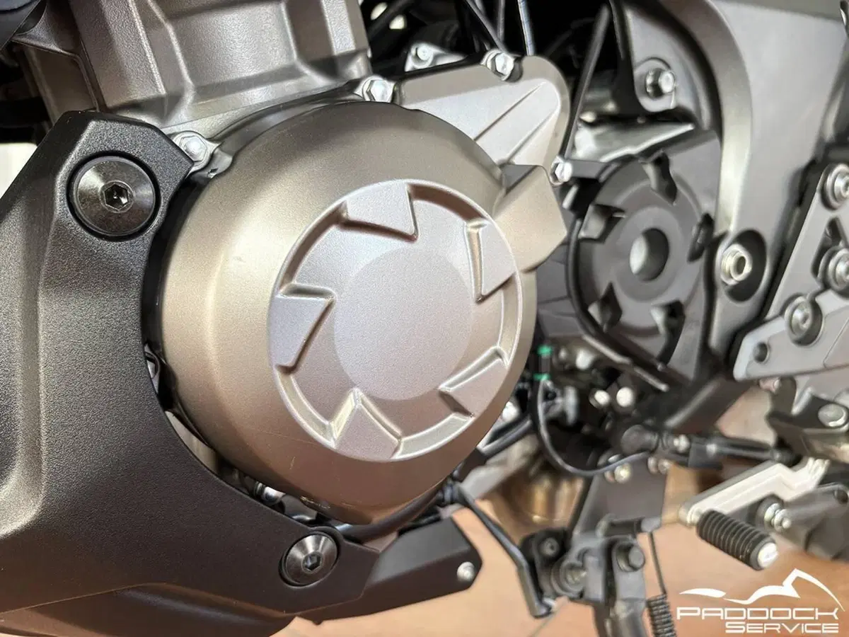Kawasaki Versys 1000 Grand Tourer SE (2019 - 20) (10)