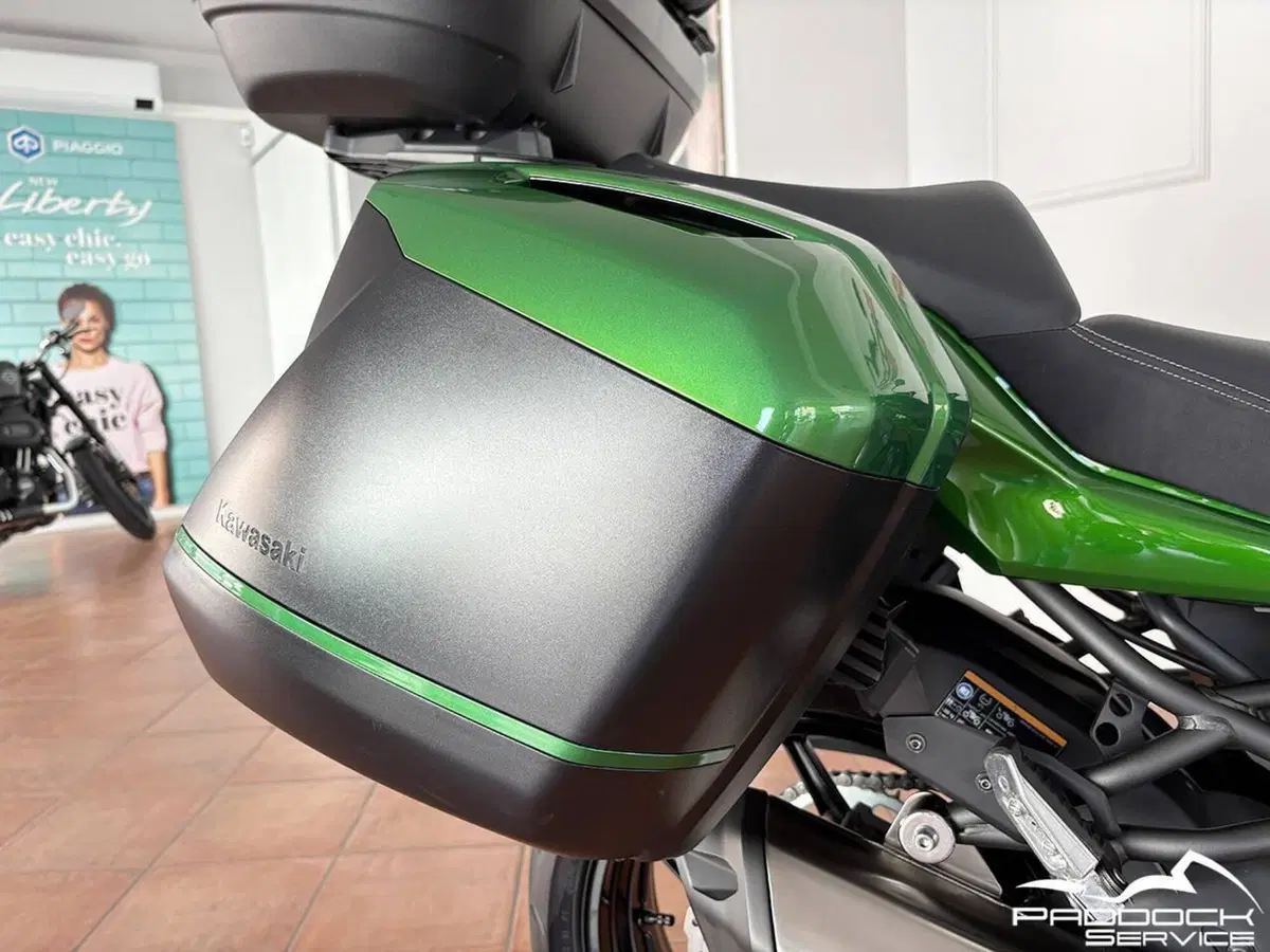Kawasaki Versys 1000 Grand Tourer SE (2019 - 20) (15)