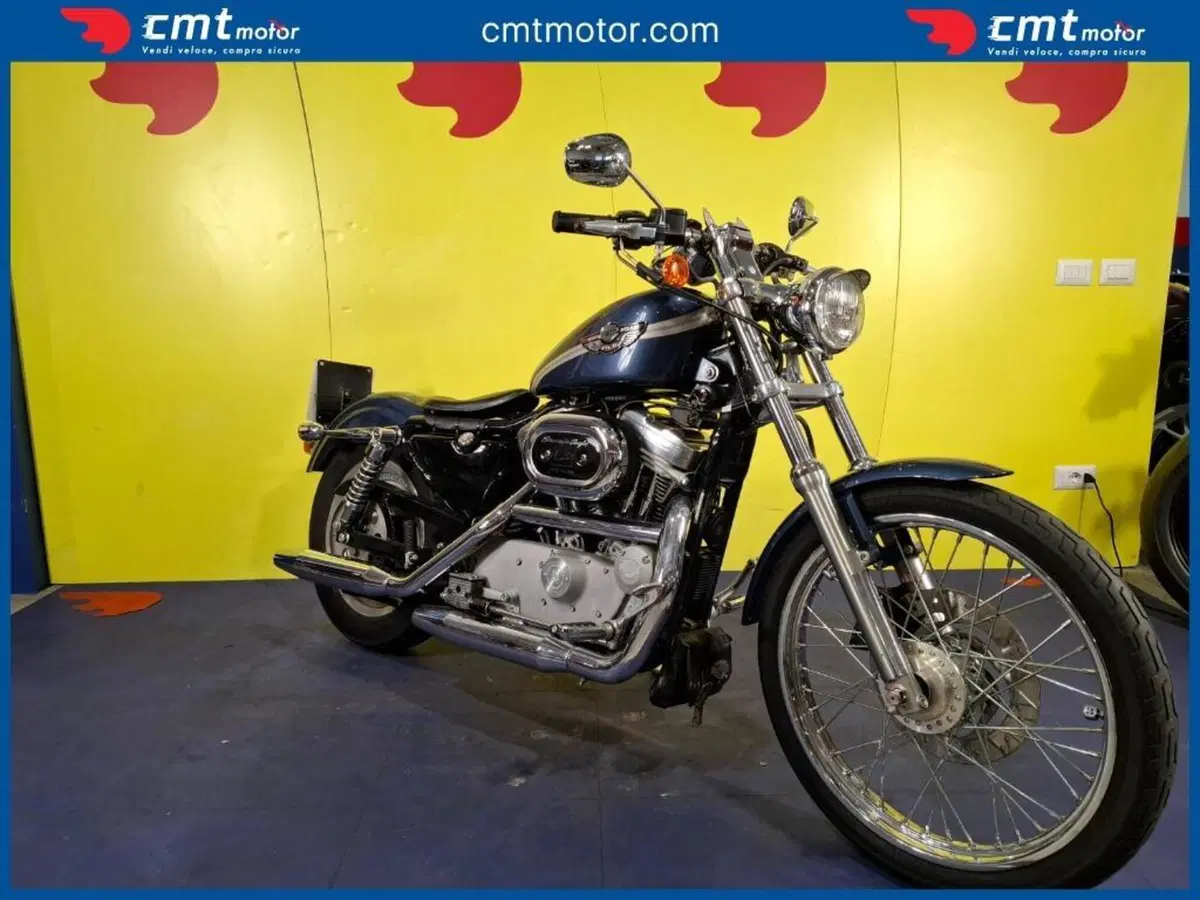 Harley-Davidson 883 Custom (2001 - 05) - XL 53C (9)