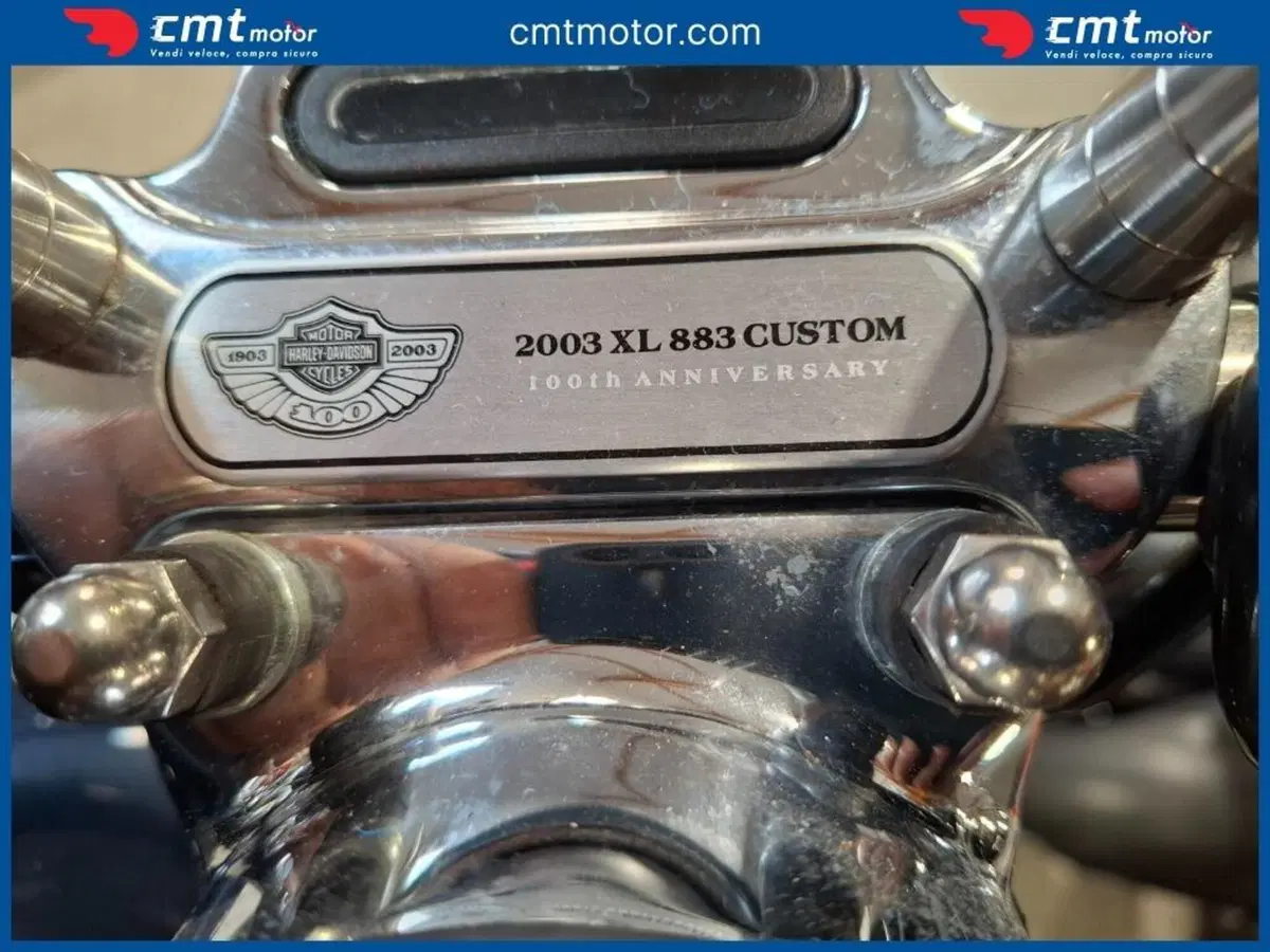 Harley-Davidson 883 Custom (2001 - 05) - XL 53C (13)