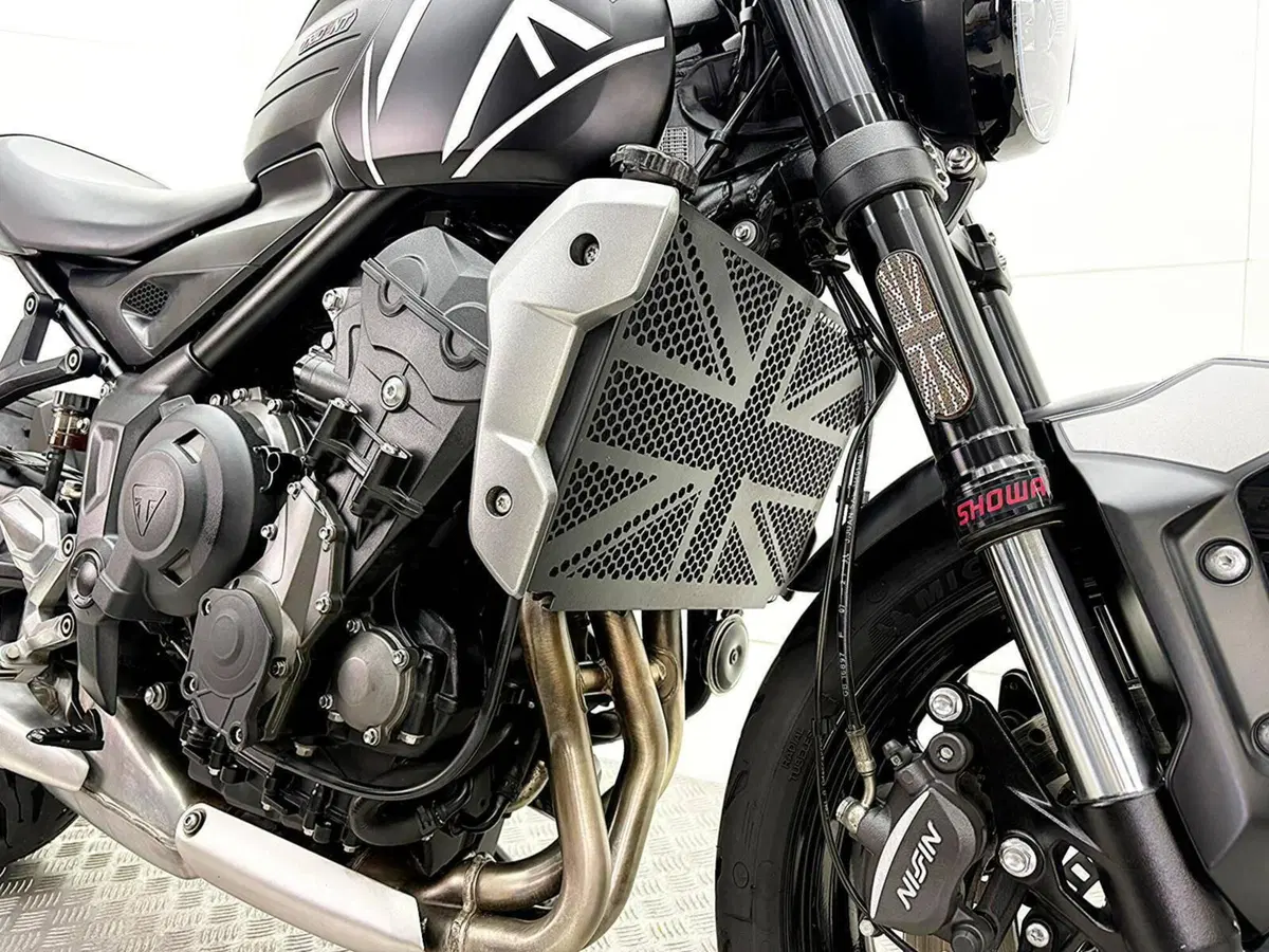 Triumph Trident 660 (2021 - 24) (10)