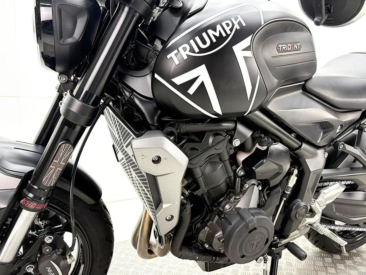 Triumph Trident 660 (2021 - 24) (15)