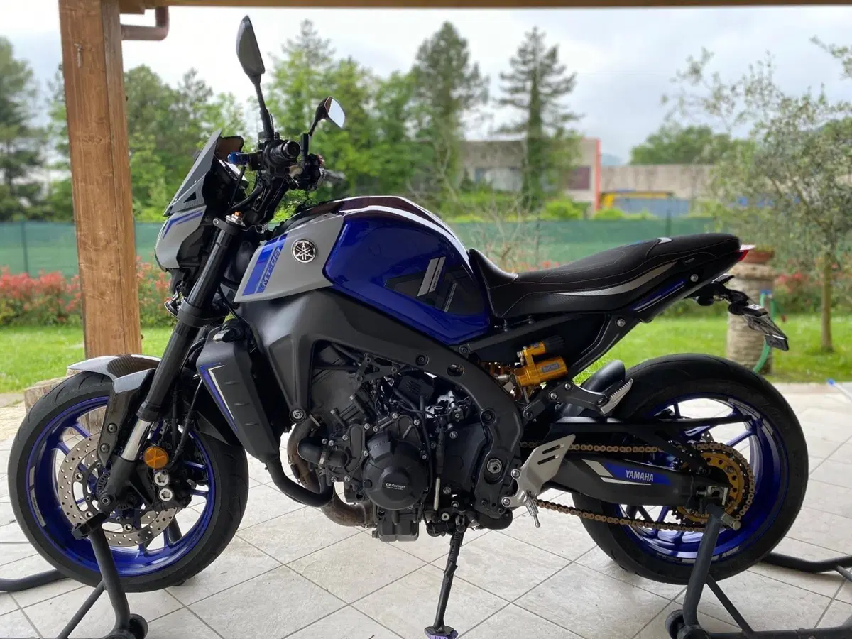 Yamaha MT-09 (2021 - 23) (11)