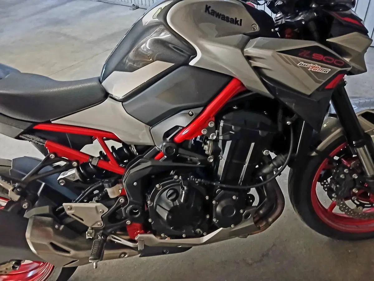 Kawasaki Z 900 (2021 - 24) (2)
