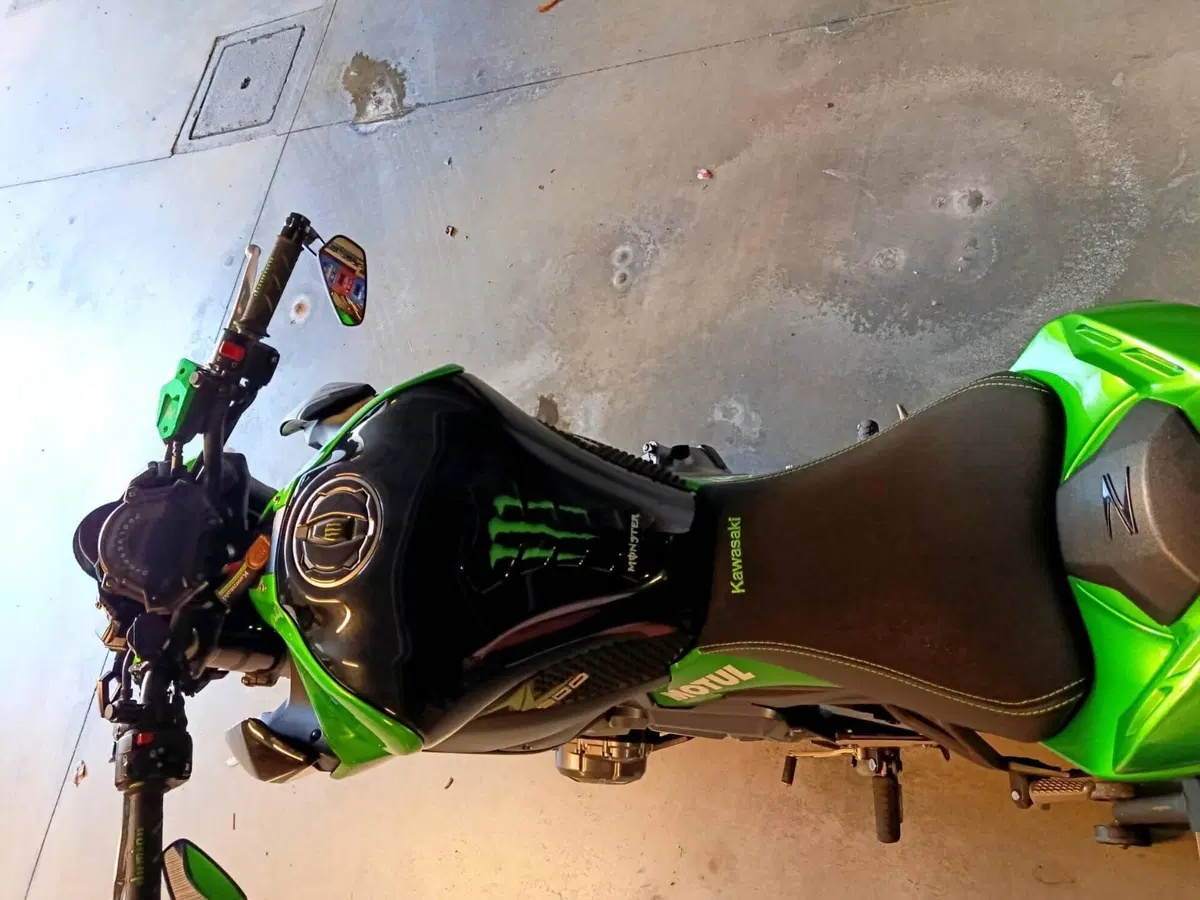 Kawasaki Z 900 (2017 - 18) (3)