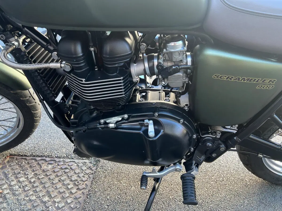 Triumph Scrambler (2006 - 17) (13)