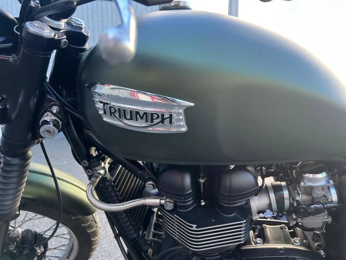 Triumph Scrambler (2006 - 17) (6)