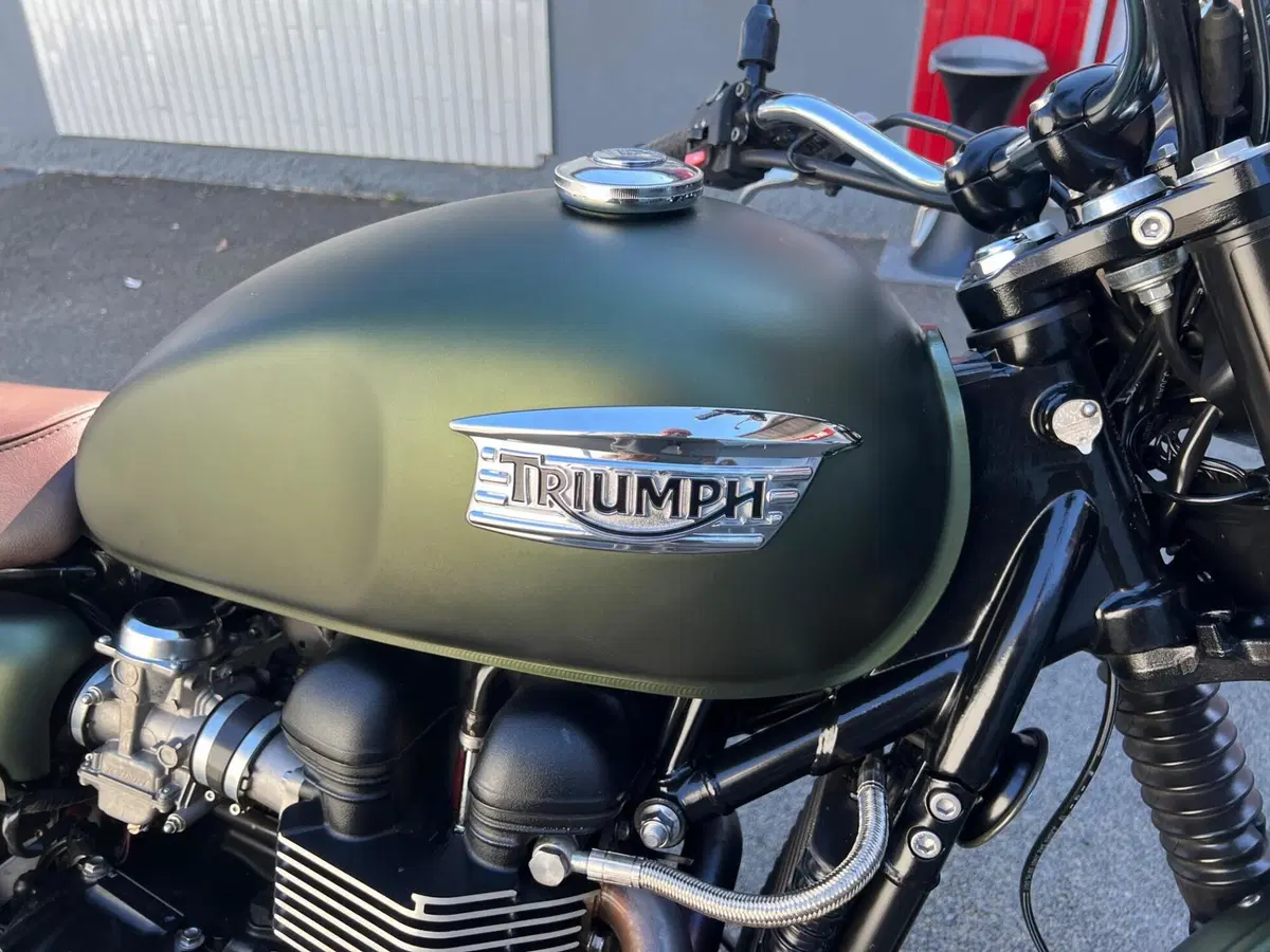 Triumph Scrambler (2006 - 17) (7)