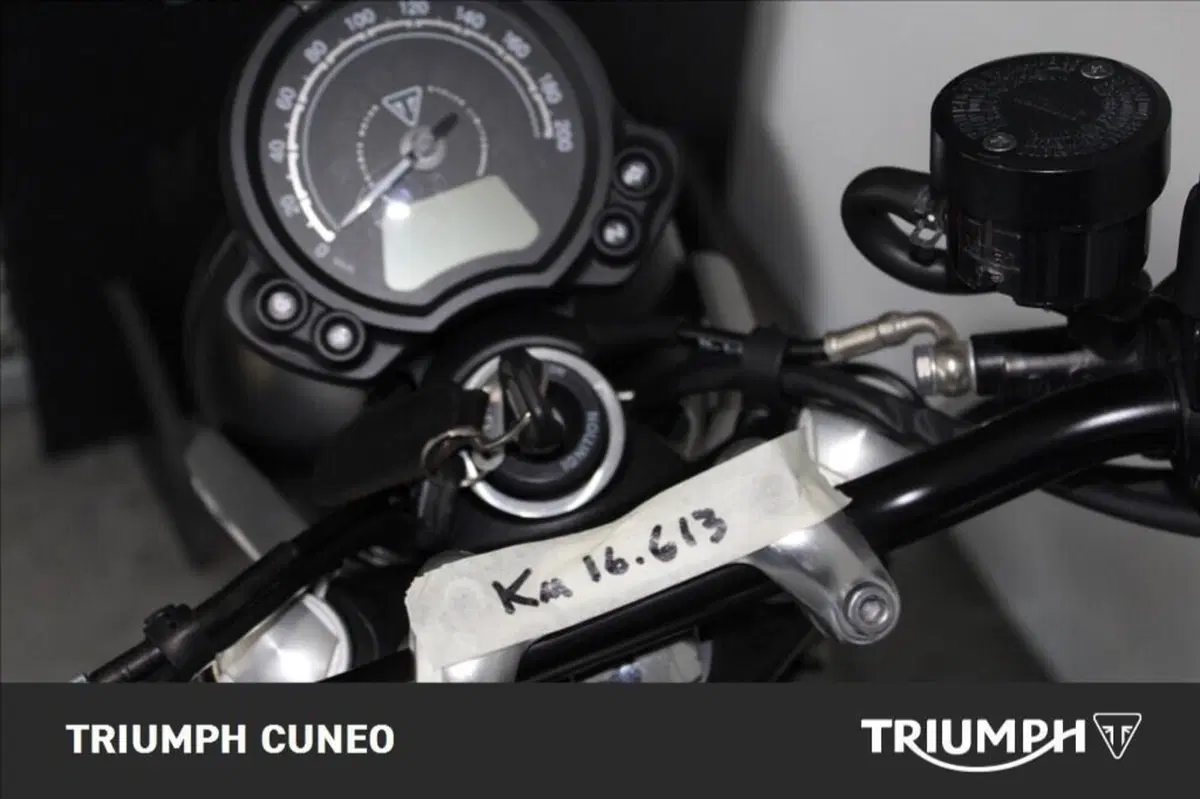 Triumph Speed Twin 900 (2023 - 24) (6)