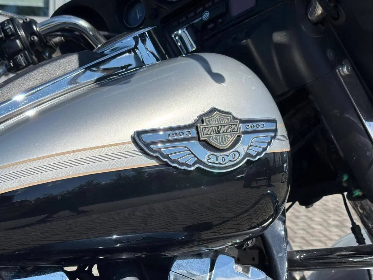 Harley-Davidson 1450 Electra Glide Ultra Classic (2003 - 05) - FLHTCUI (11)